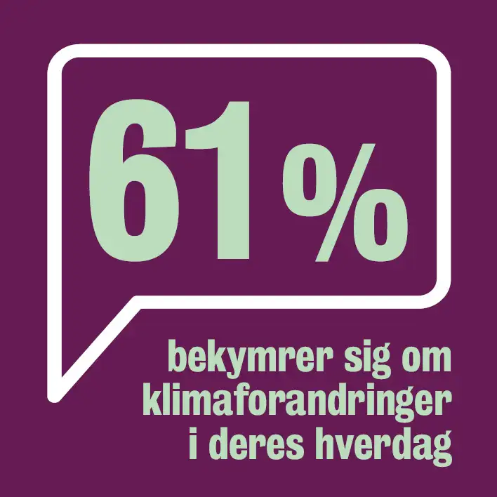 61 procent af thyboerne bekymrer sig om klimaforandringer i deres hverdag. 