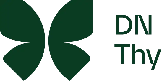 DN Thys logo